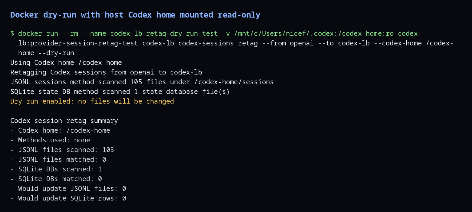 retag dry run in Docker